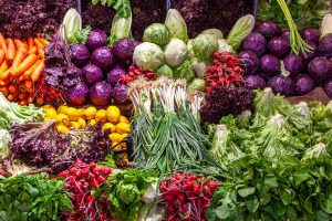 diverse vegetables laid out