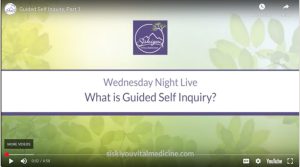 What is Guided Self-Inquiry?