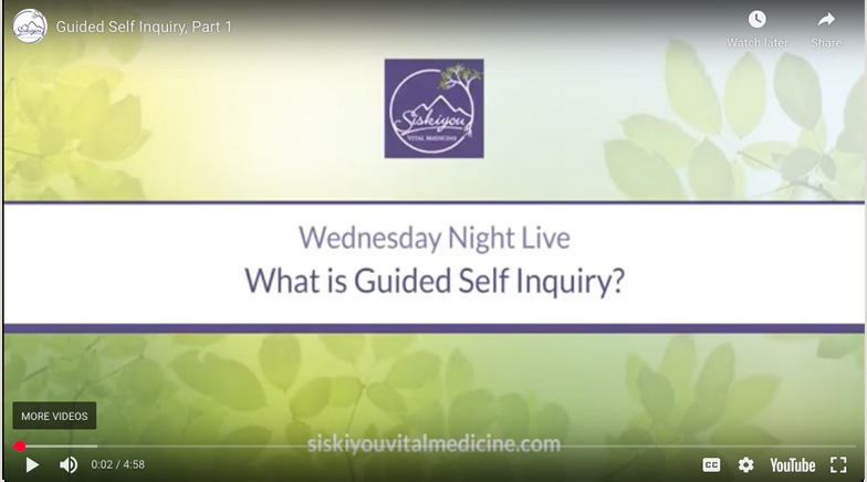 What is Guided Self-Inquiry?