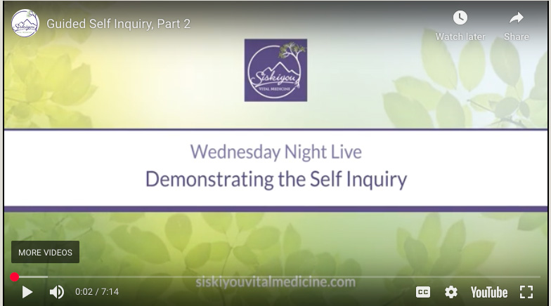 Demonstrating the Self-Inquiry