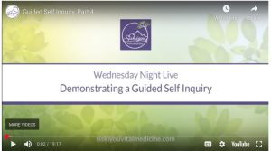 Demonstrating a Guided Self-Inquiry