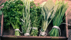 Top 10 Herbs for Natural Hormone Balance