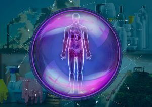 Toxin Avoidance Made Simple: Supporting Your Body’s Natural Detox Pathways