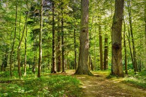 One of the Best Things You Can Do for Your Health Is Completely Free