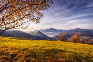 beautiful autumn landscape with foggy mountain and colorful trees